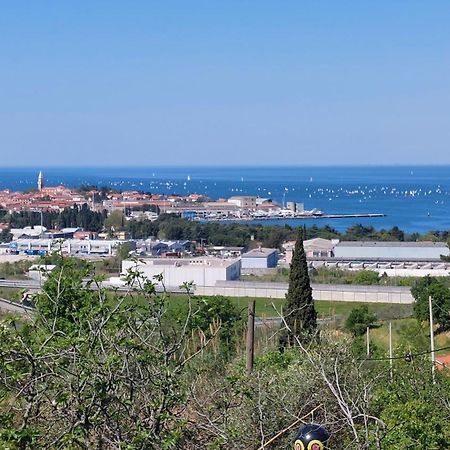 Apartma Lili Izola Bagian luar foto