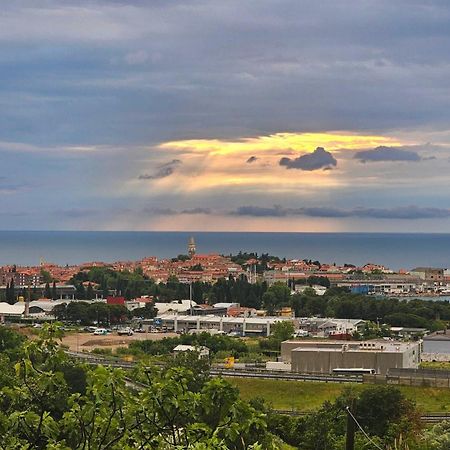 Apartma Lili Izola Bagian luar foto