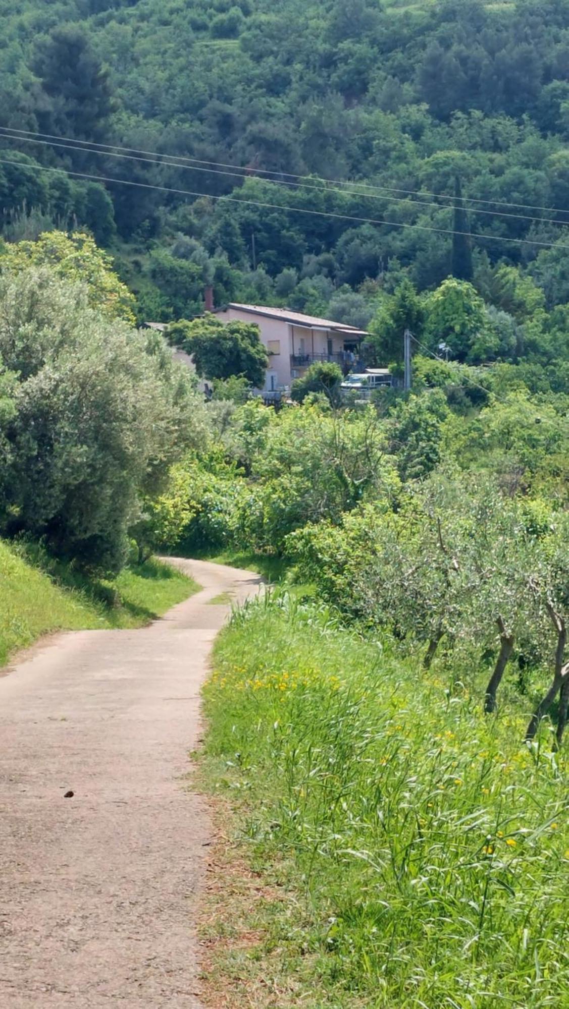 Apartma Lili Izola Bagian luar foto